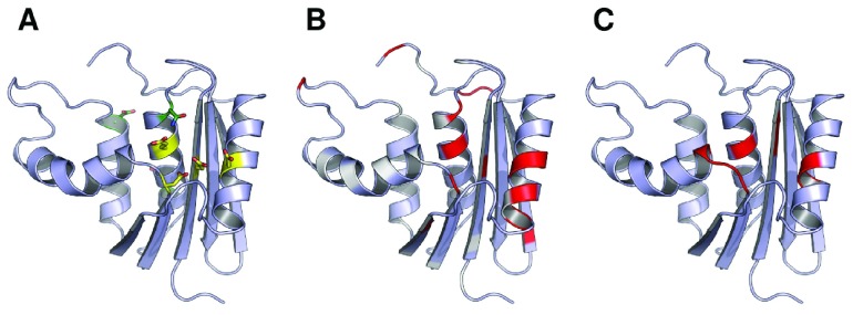 Figure 3. 