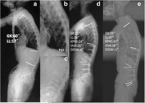 Fig. 4