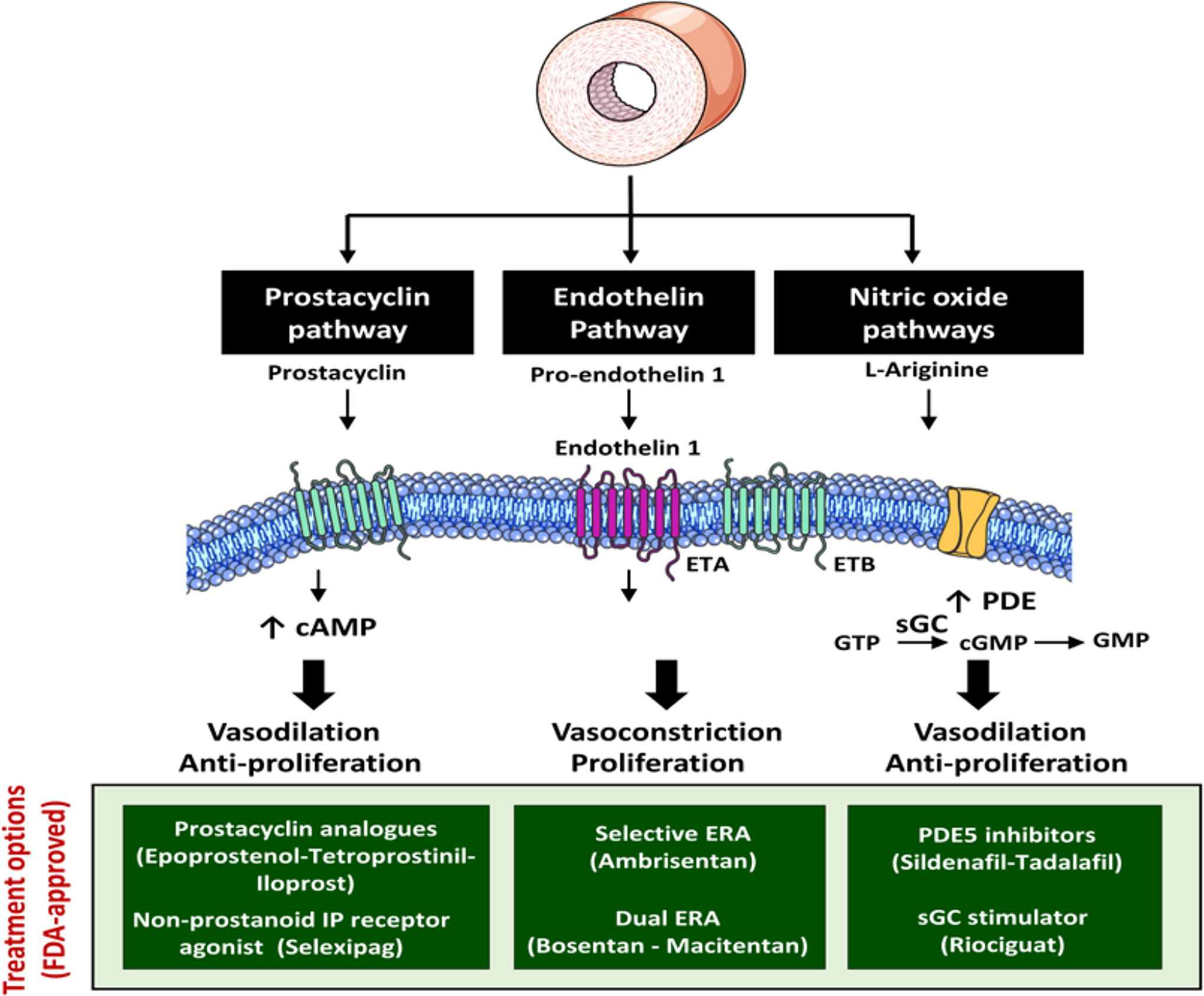 Figure 3: