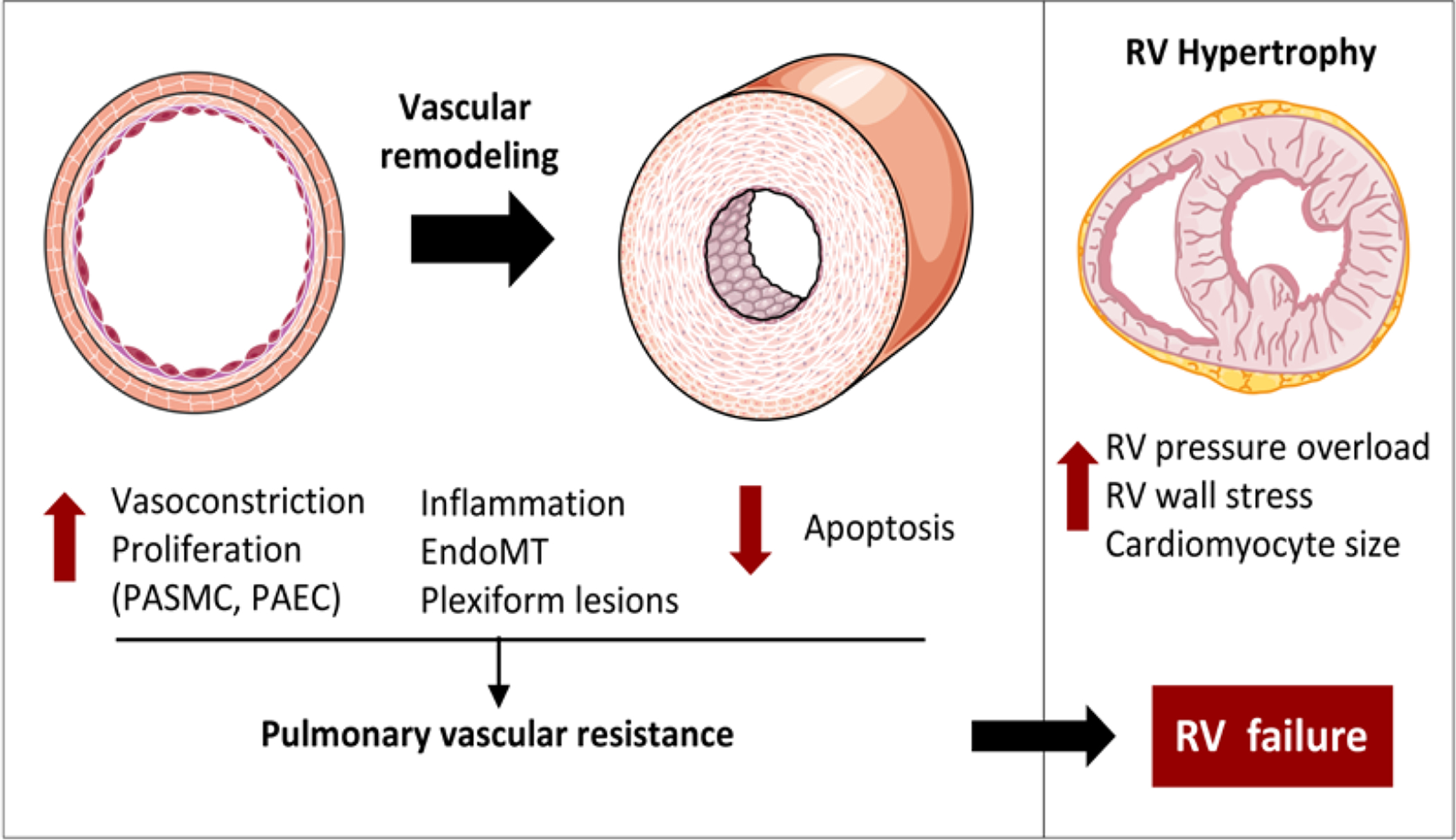 Figure 2: