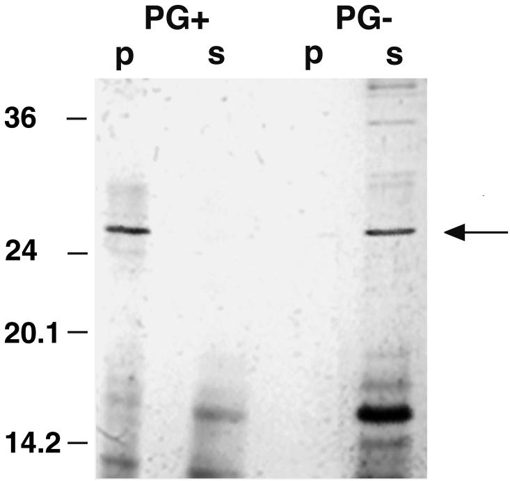 FIG. 6