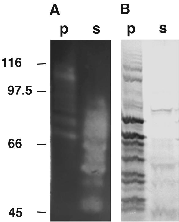 FIG. 5