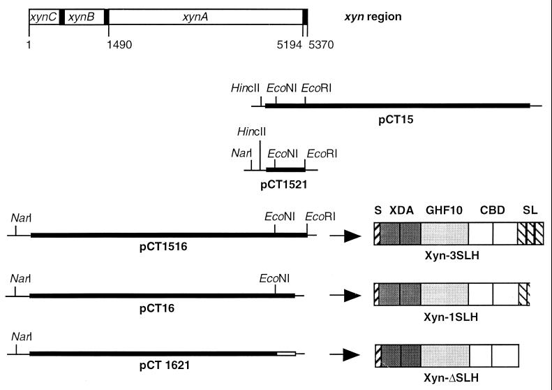 FIG. 1