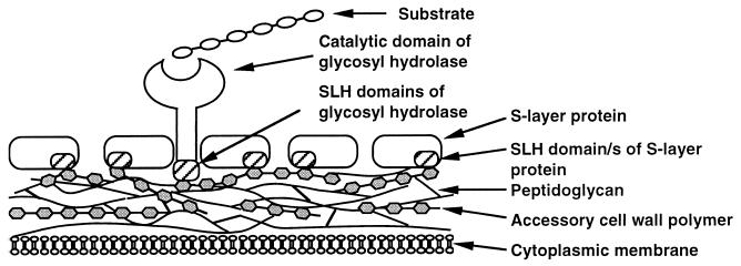 FIG. 7