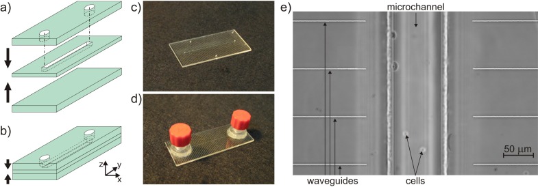 Fig. 2