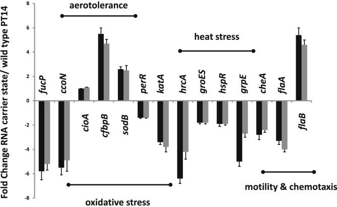 Fig. 4