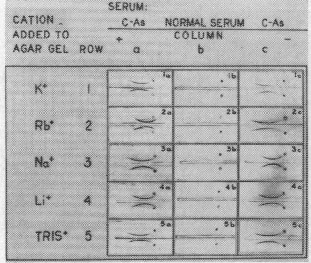 graphic file with name pnas00187-0149-a.jpg