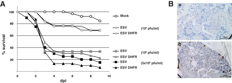 FIG 4