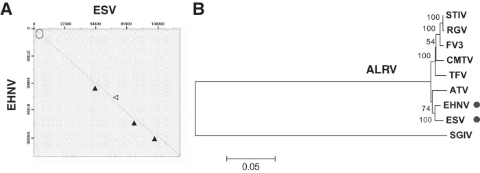 FIG 1