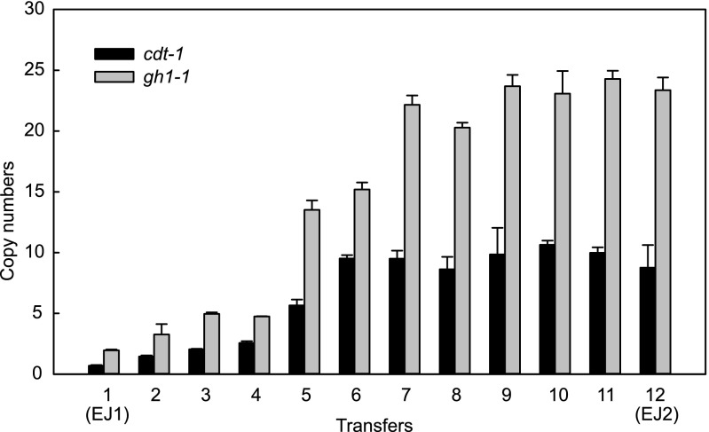 FIG 3