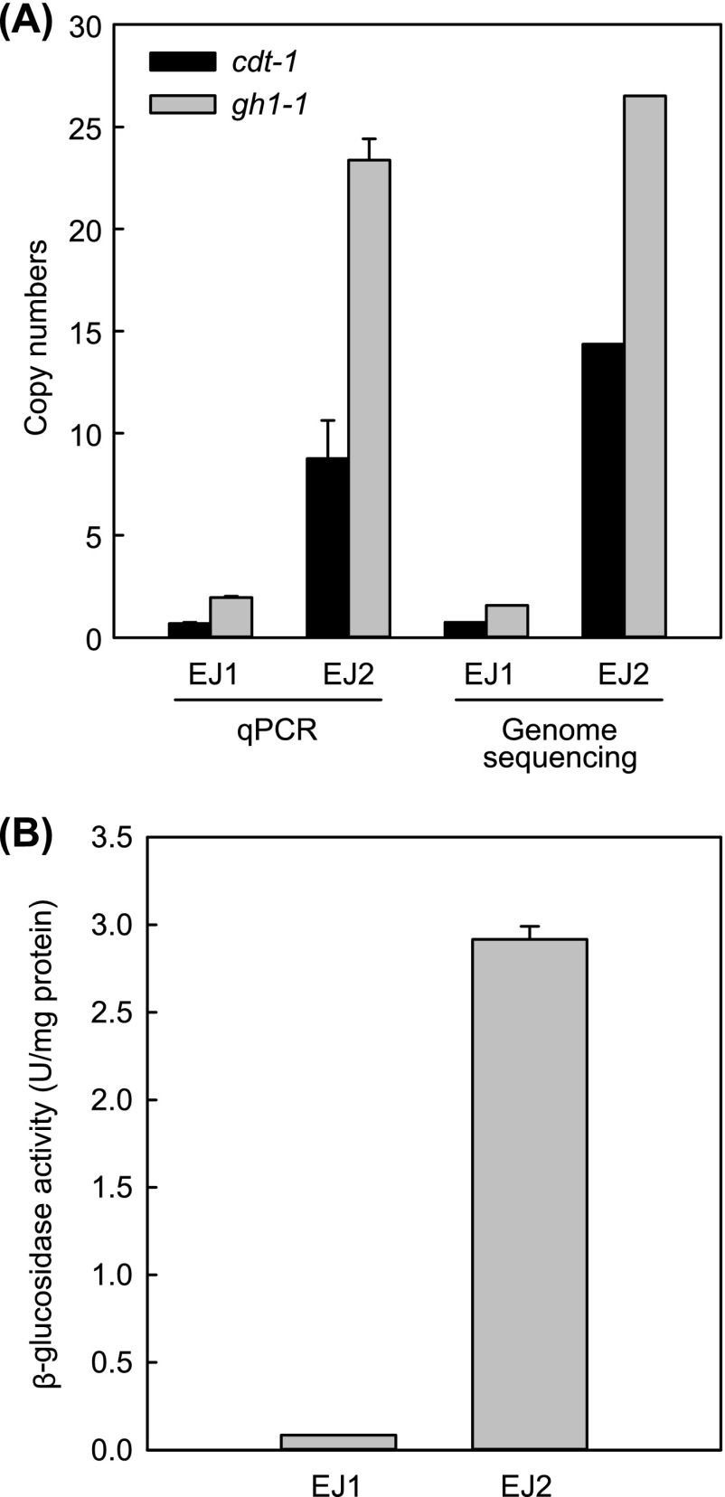 FIG 2