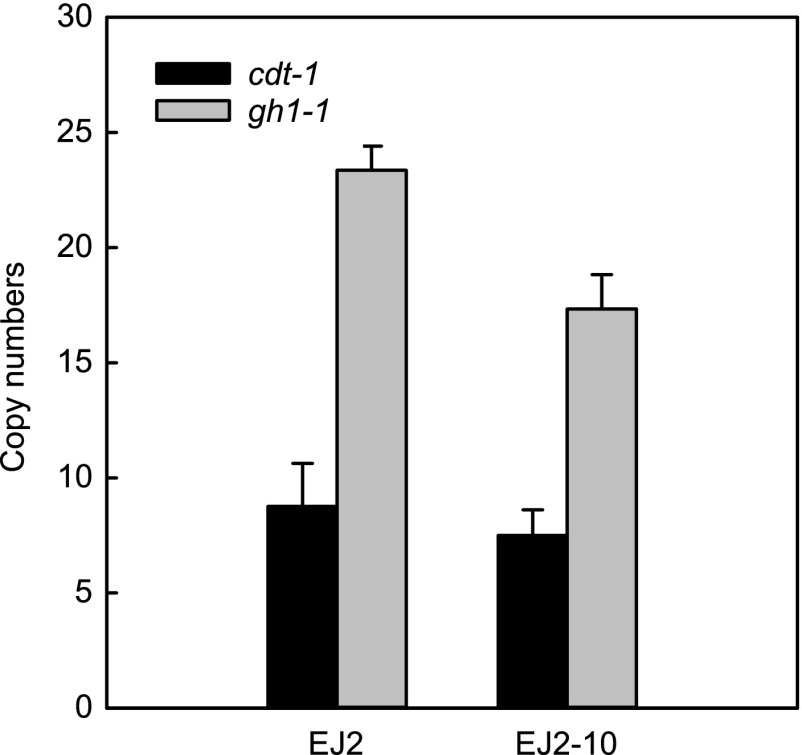 FIG 6