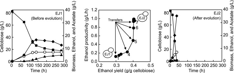 FIG 1