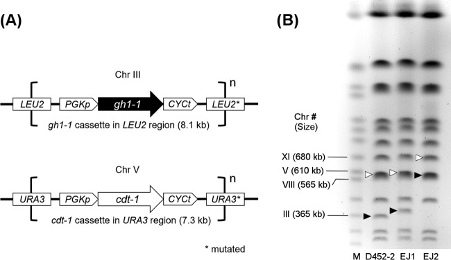 FIG 4