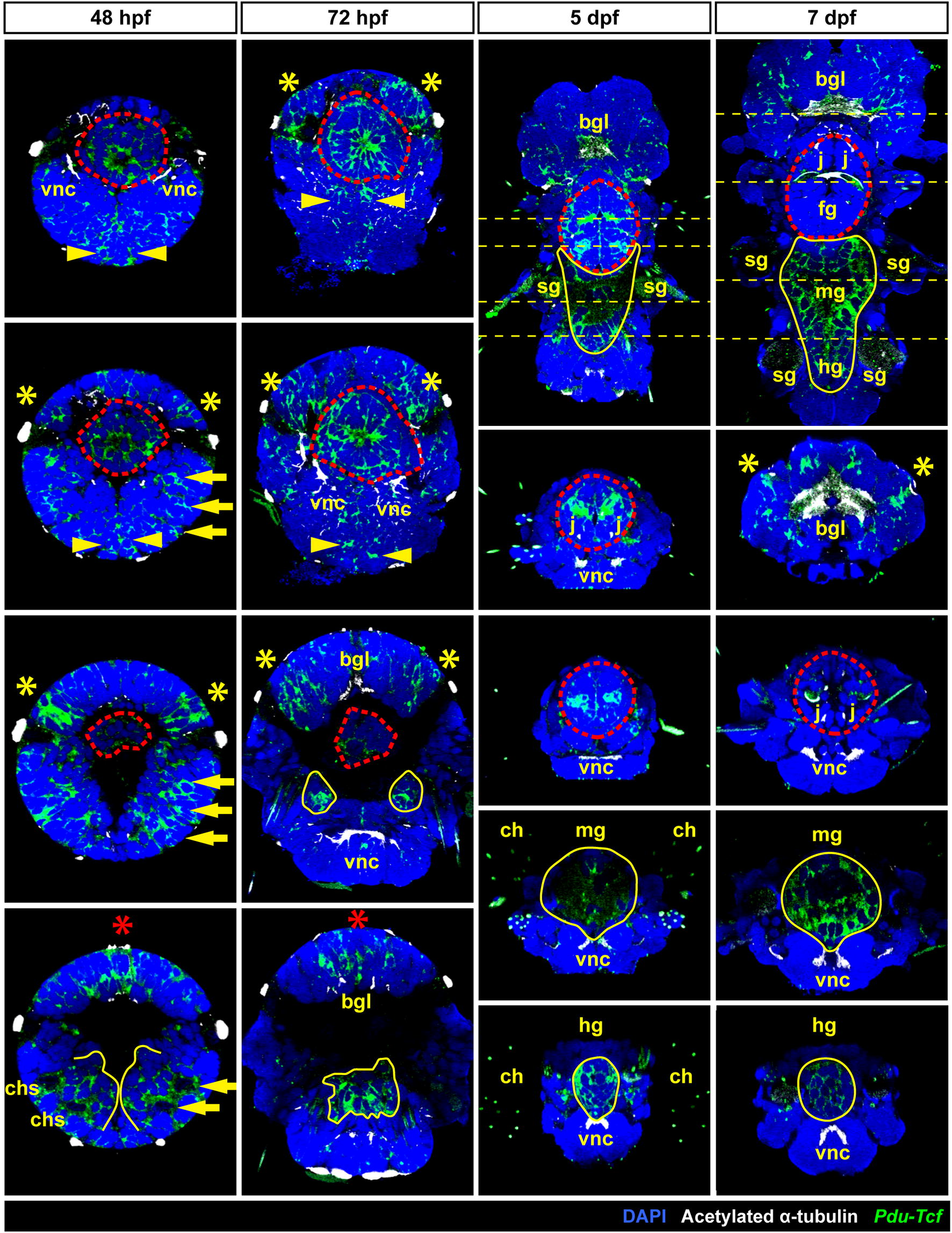 Fig. 4