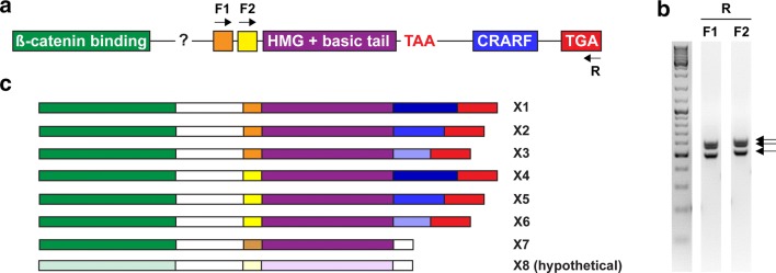 Fig. 2