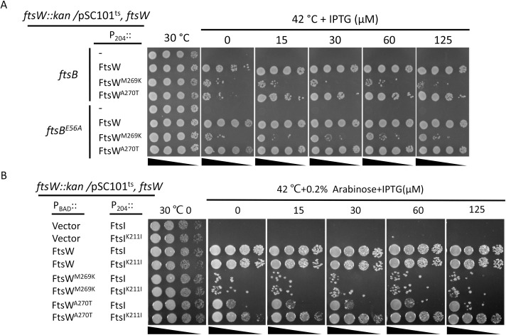 Fig 9