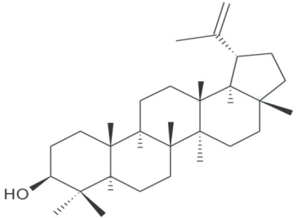 graphic file with name f1000research-10-58324-g0004.jpg