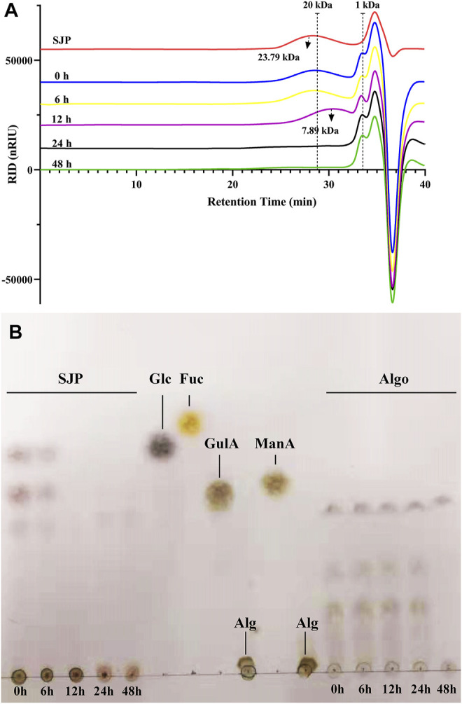 FIGURE 2