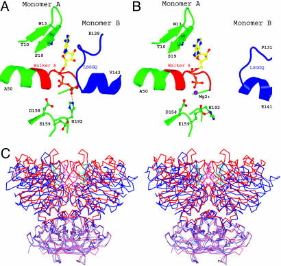 Fig. 4.