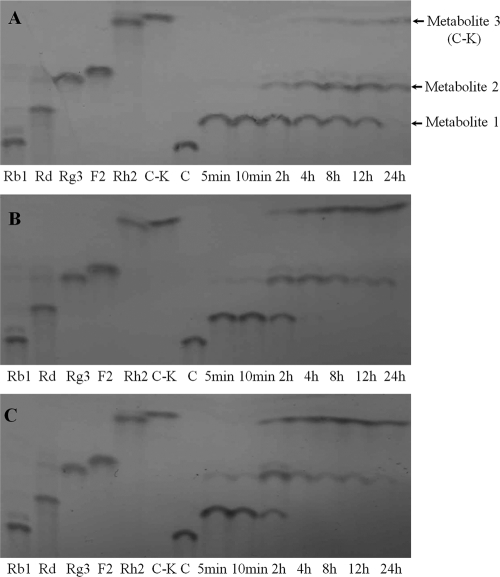 FIG. 5.