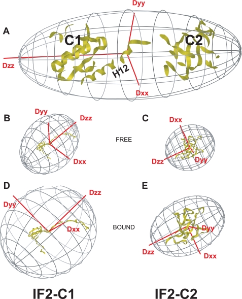 FIGURE 4.