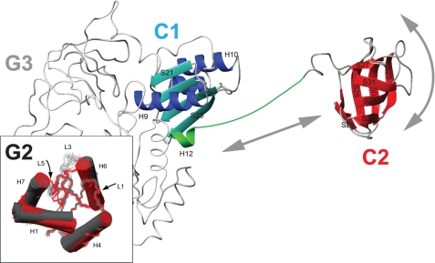 FIGURE 5.