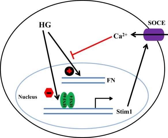 Fig. 9.