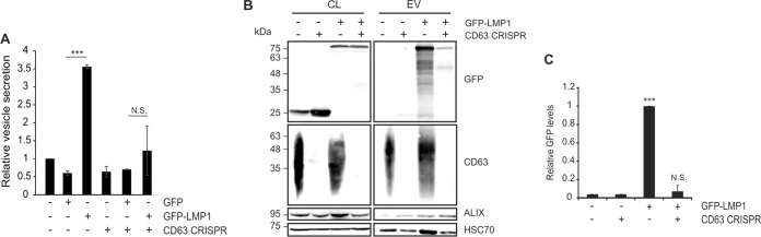 FIG 5