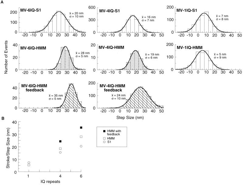 Fig 3.