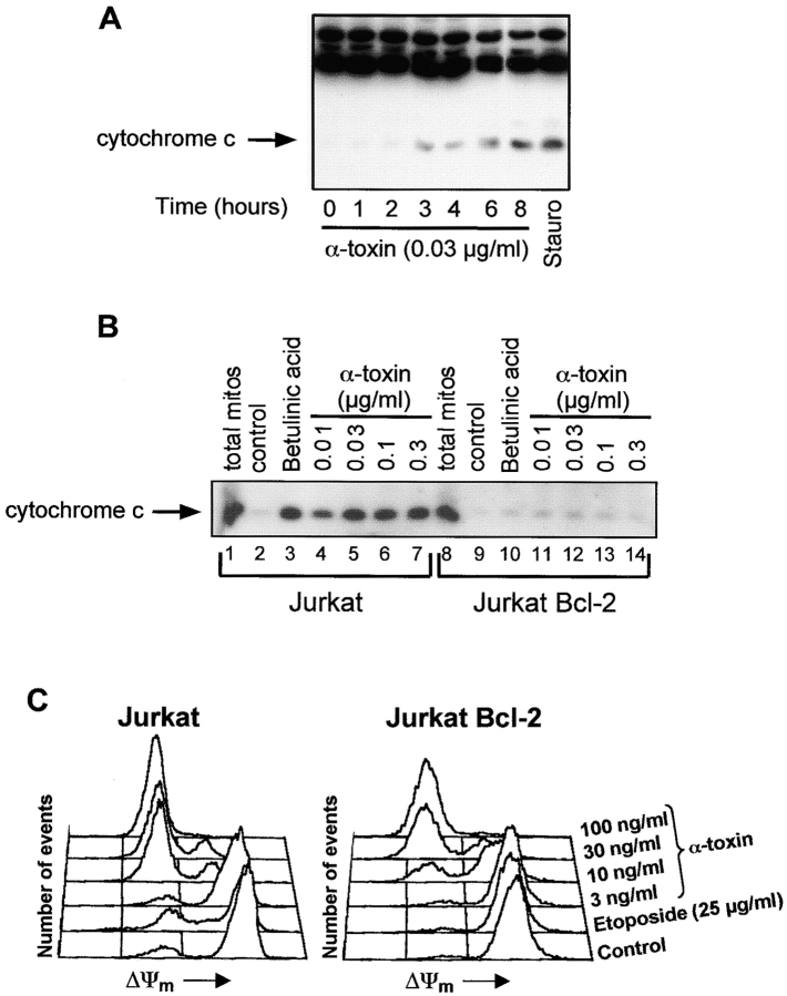 Figure 9.