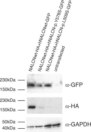 Figure 3