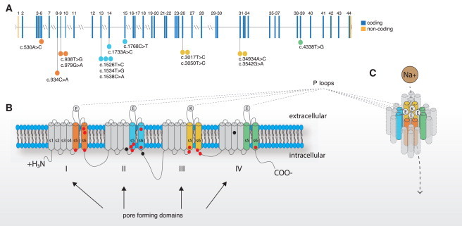 Figure 2