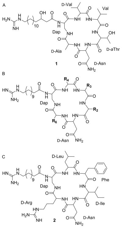 Fig. 1