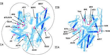 Figure 2.—