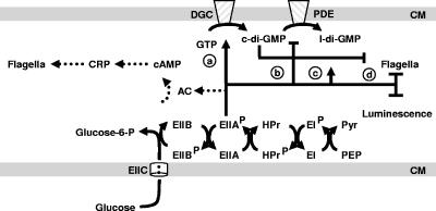 FIG. 1.