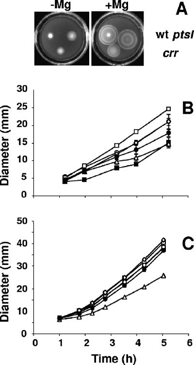 FIG. 2.