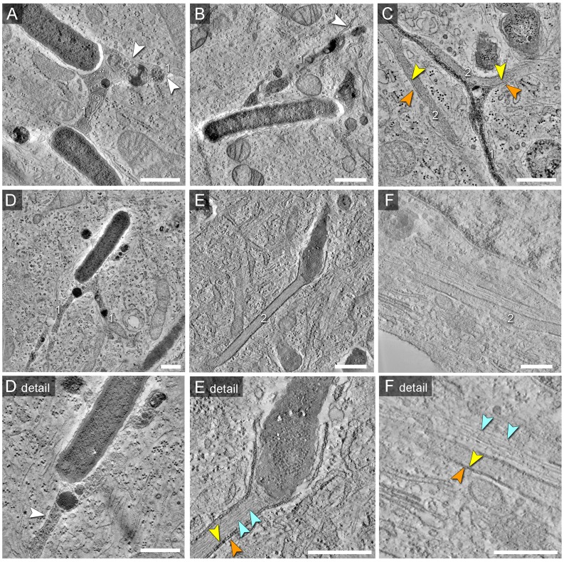 Figure 9