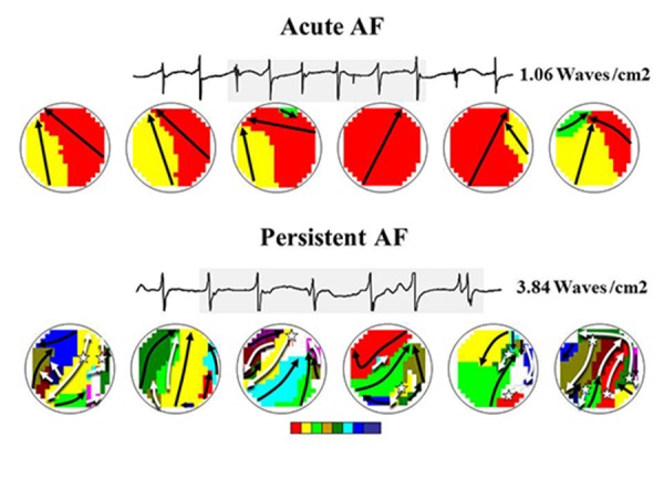 Figure 4.