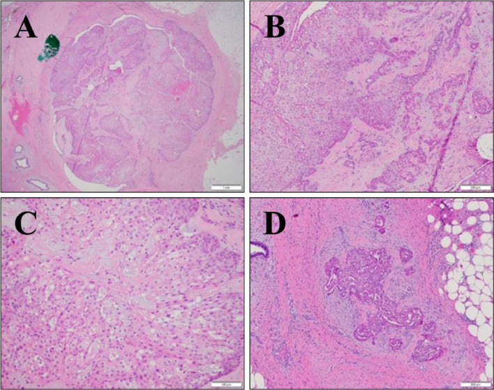 Fig 4