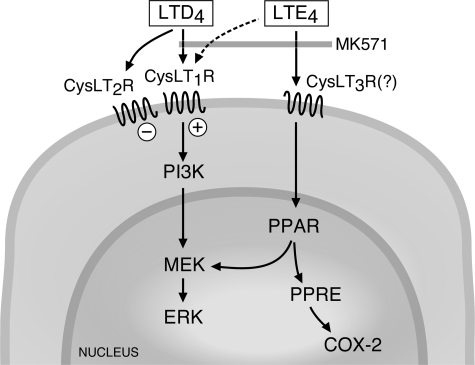 FIGURE 10.