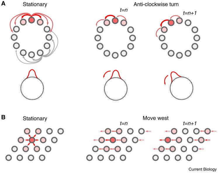 Figure 3