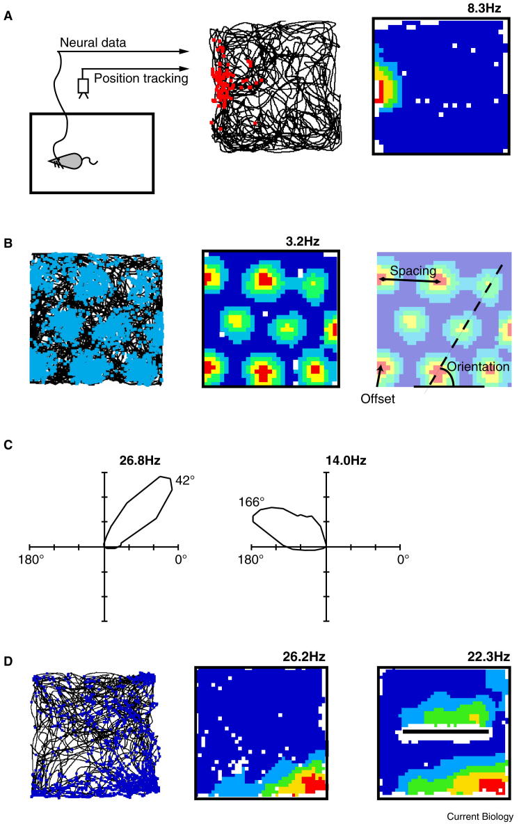 Figure 1