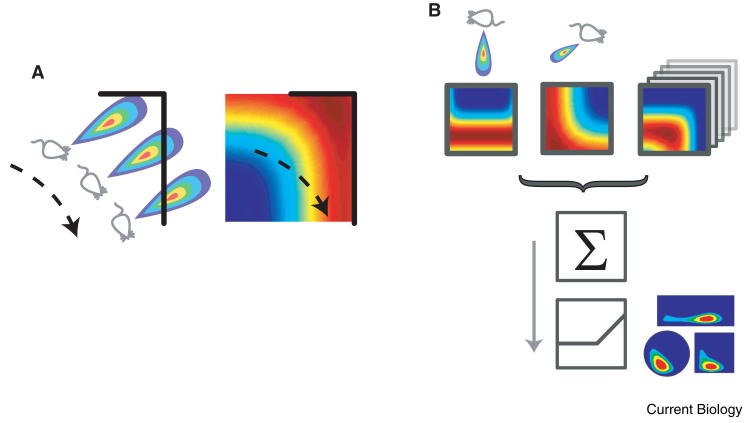 Figure 2