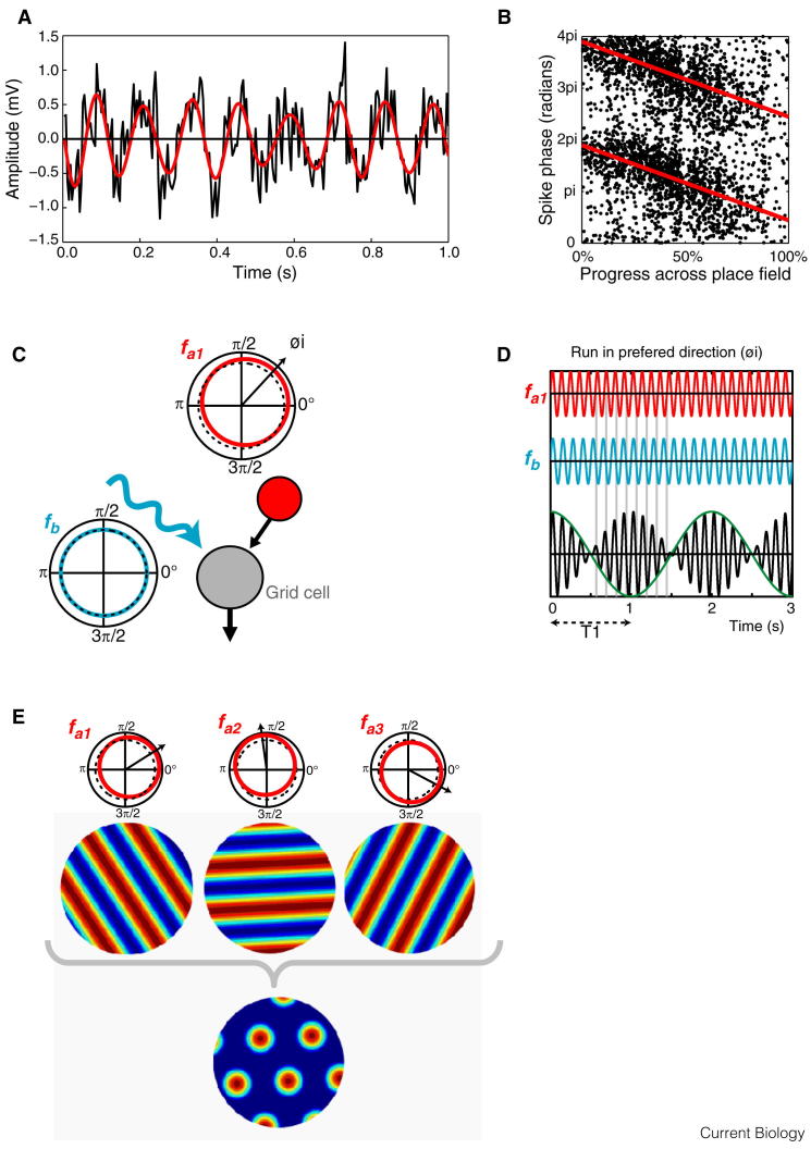 Figure 4