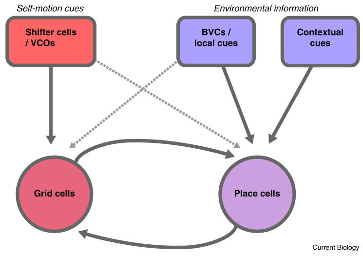 Figure 5