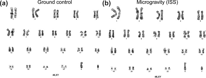 Fig. 9