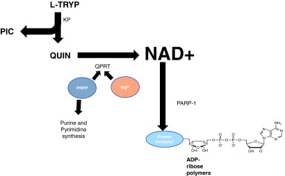 FIG. 4.