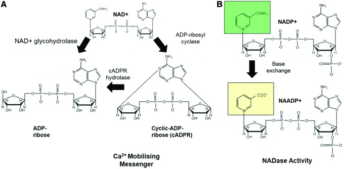 FIG. 7.