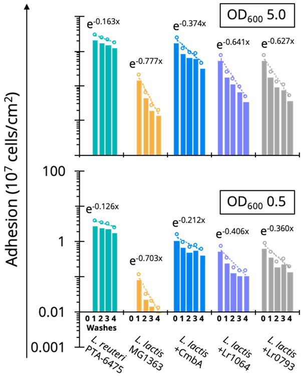 Figure 5.